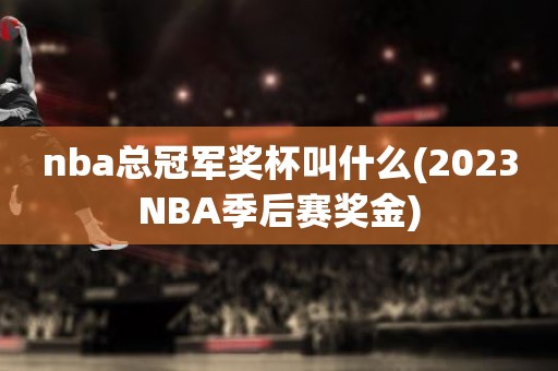 nba总冠军奖杯叫什么(2023NBA季后赛奖金) nba总冠军奖杯叫什么(2023NBA季后赛奖金)