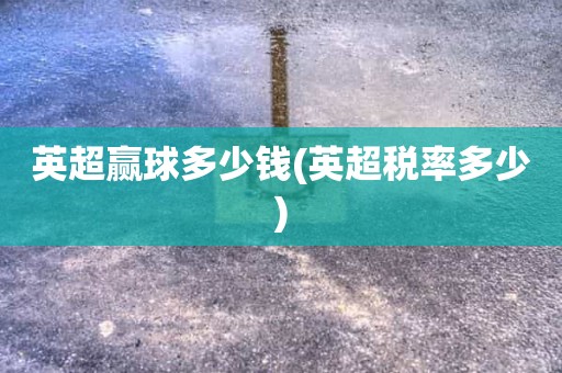 英超赢球多少钱(英超税率多少) 英超赢球多少钱(英超税率多少)