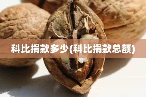 科比捐款多少(科比捐款总额) 科比捐款多少(科比捐款总额)