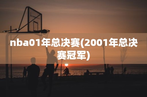 nba01年总决赛(2001年总决赛冠军) nba01年总决赛(2001年总决赛冠军)