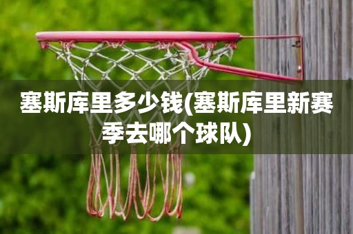 塞斯库里多少钱(塞斯库里新赛季去哪个球队) 塞斯库里多少钱(塞斯库里新赛季去哪个球队)