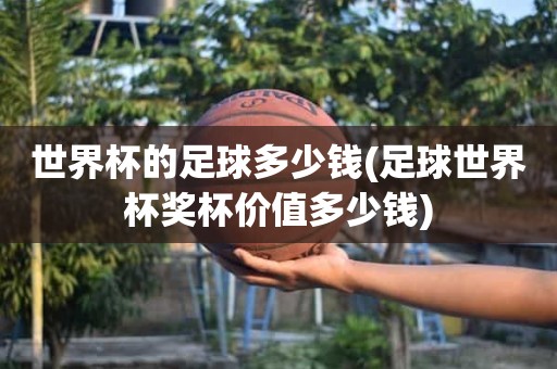 世界杯的足球多少钱(足球世界杯奖杯价值多少钱) 世界杯的足球多少钱(足球世界杯奖杯价值多少钱)