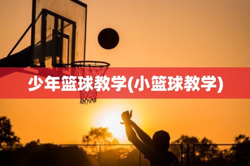 少年篮球教学(小篮球教学) 少年篮球教学(小篮球教学)