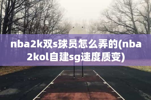 nba2k双s球员怎么弄的(nba2kol自建sg速度质变) nba2k双s球员怎么弄的(nba2kol自建sg速度质变)