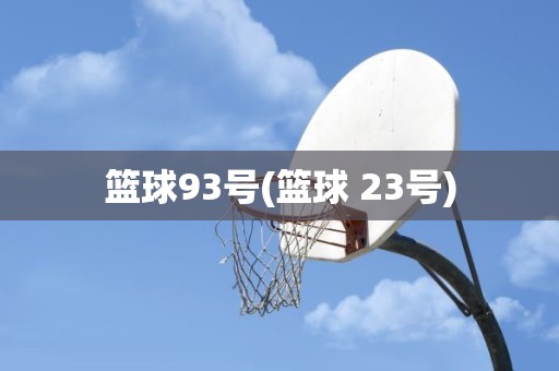 篮球93号(篮球 23号) 篮球93号(篮球 23号)