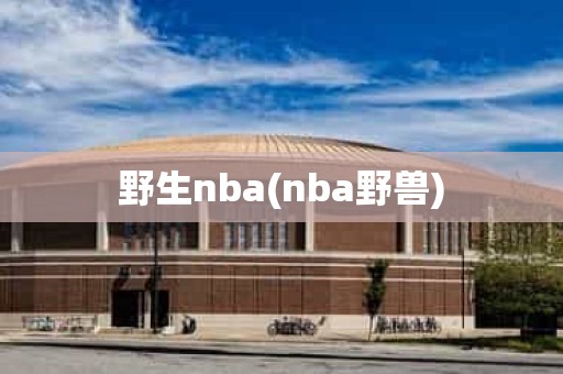 野生nba(nba野兽) 野生nba(nba野兽)