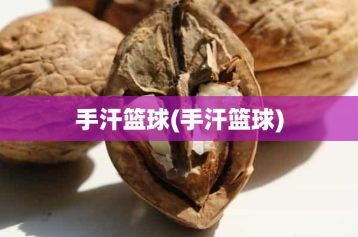 手汗篮球(手汗篮球) 手汗篮球(手汗篮球)