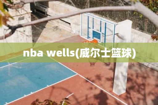 nba wells(威尔士篮球) nba wells(威尔士篮球)