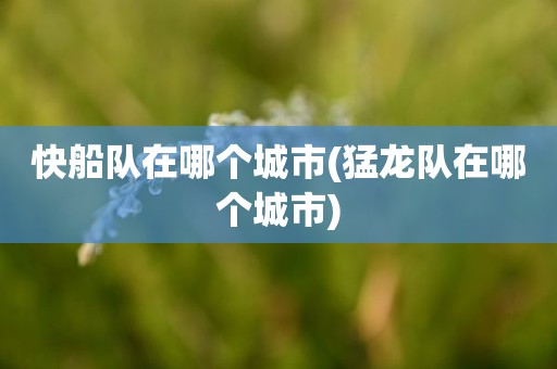 快船队在哪个城市(猛龙队在哪个城市) 快船队在哪个城市(猛龙队在哪个城市)