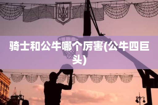 骑士和公牛哪个厉害(公牛四巨头) 骑士和公牛哪个厉害(公牛四巨头)