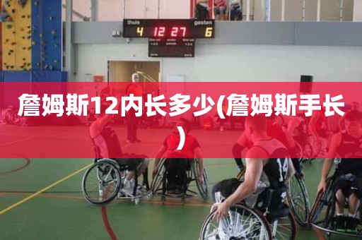 詹姆斯12内长多少(詹姆斯手长) 詹姆斯12内长多少(詹姆斯手长)