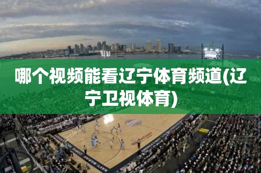 哪个视频能看辽宁体育频道(辽宁卫视体育) 哪个视频能看辽宁体育频道(辽宁卫视体育)
