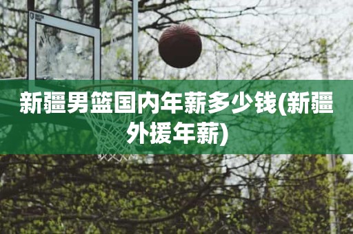 新疆男篮国内年薪多少钱(新疆外援年薪) 新疆男篮国内年薪多少钱(新疆外援年薪)
