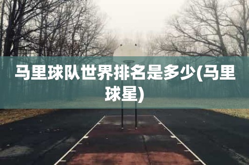 马里球队世界排名是多少(马里球星) 马里球队世界排名是多少(马里球星)