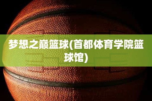 梦想之巅篮球(首都体育学院篮球馆) 梦想之巅篮球(首都体育学院篮球馆)