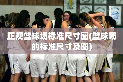 正规篮球场标准尺寸图(篮球场的标准尺寸及图) 正规篮球场标准尺寸图(篮球场的标准尺寸及图)