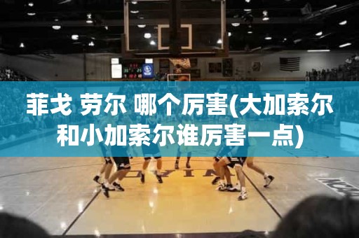 菲戈 劳尔 哪个厉害(大加索尔和小加索尔谁厉害一点) 菲戈 劳尔 哪个厉害(大加索尔和小加索尔谁厉害一点)