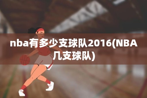 nba有多少支球队2016(NBA几支球队) nba有多少支球队2016(NBA几支球队)