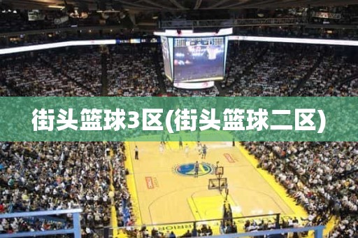 街头篮球3区(街头篮球二区) 街头篮球3区(街头篮球二区)
