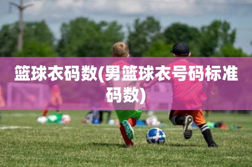 篮球衣码数(男篮球衣号码标准码数) 篮球衣码数(男篮球衣号码标准码数)