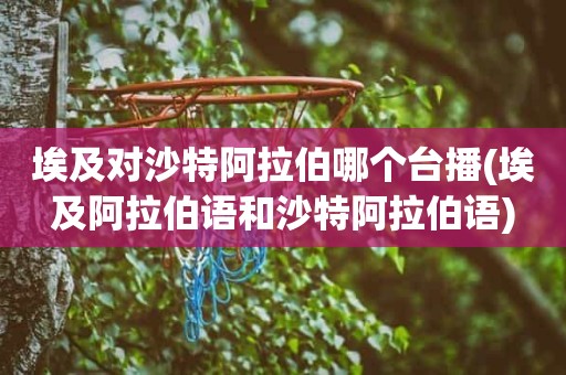 埃及对沙特阿拉伯哪个台播(埃及阿拉伯语和沙特阿拉伯语) 埃及对沙特阿拉伯哪个台播(埃及阿拉伯语和沙特阿拉伯语)