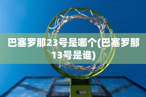 巴塞罗那23号是哪个(巴塞罗那13号是谁) 巴塞罗那23号是哪个(巴塞罗那13号是谁)