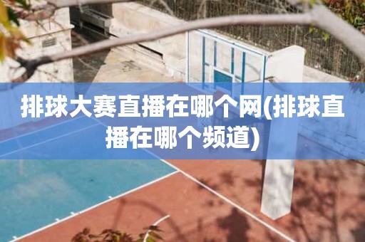 排球大赛直播在哪个网(排球直播在哪个频道) 排球大赛直播在哪个网(排球直播在哪个频道)