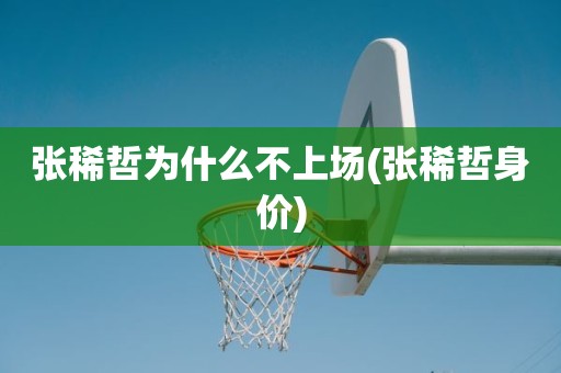 张稀哲为什么不上场(张稀哲身价) 张稀哲为什么不上场(张稀哲身价)